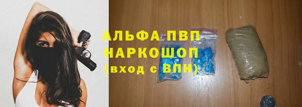 PSILOCYBIN Нефтегорск