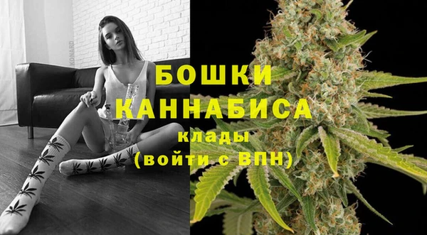 PSILOCYBIN Нефтегорск