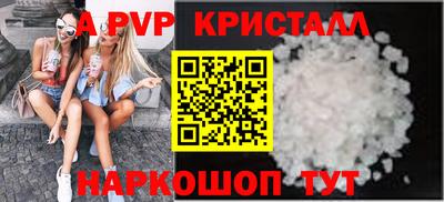 спиды Гатчина