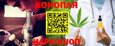 спиды Гатчина