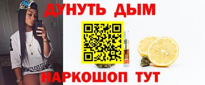 спиды Гатчина