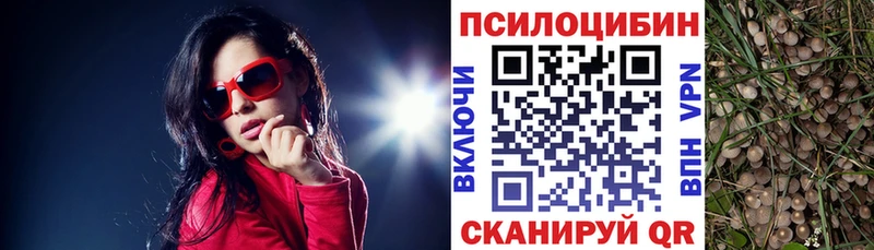 мега рабочий сайт  Тавда  Псилоцибиновые грибы Psilocybe  купить  