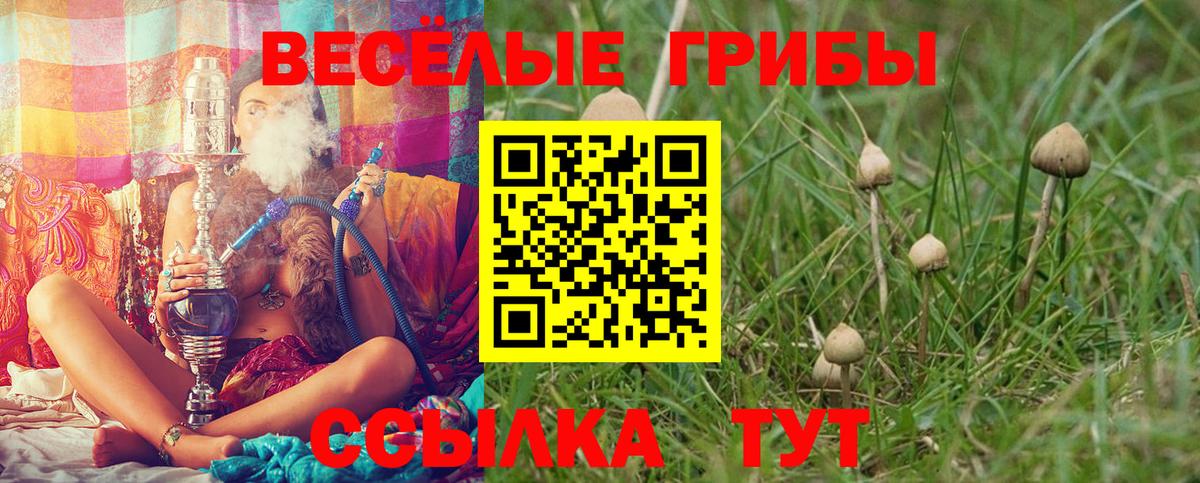 Галлюциногенные грибы Psilocybe Тавда