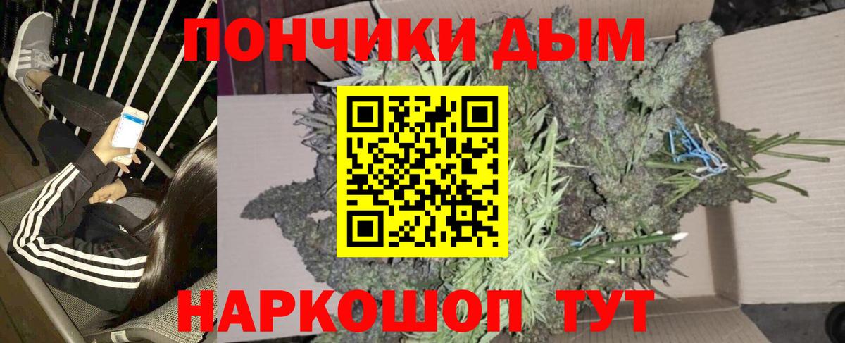 Шишки марихуана марихуана Тавда